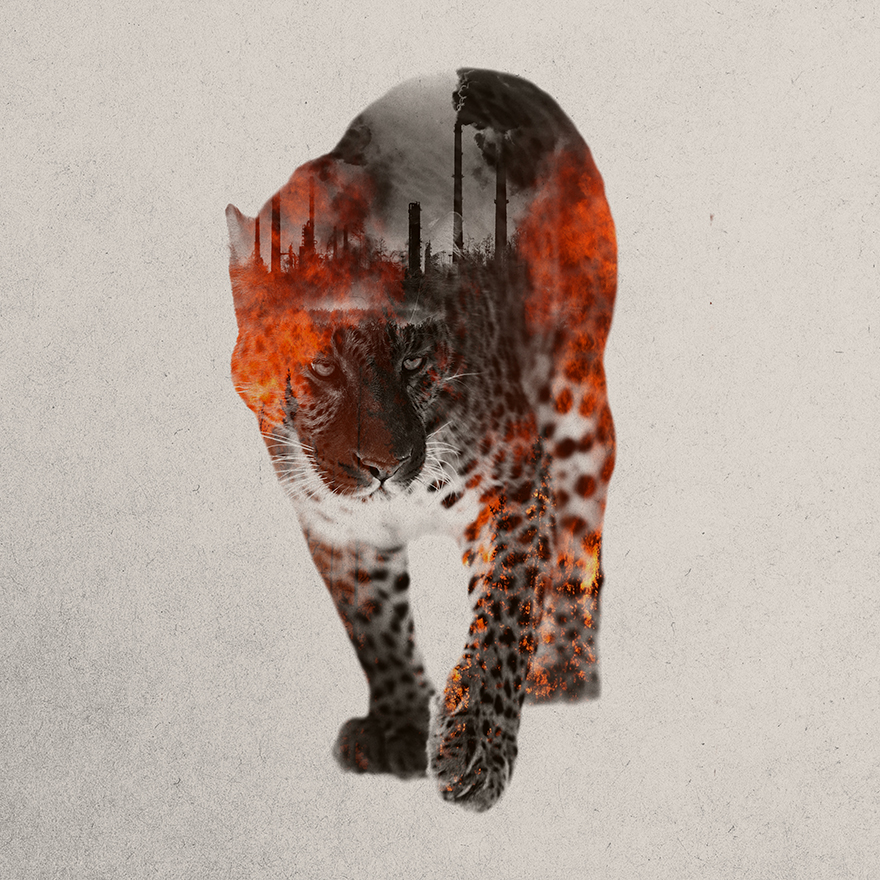 I Created Double Exposure Images Of Animals Threatened By Climate Change