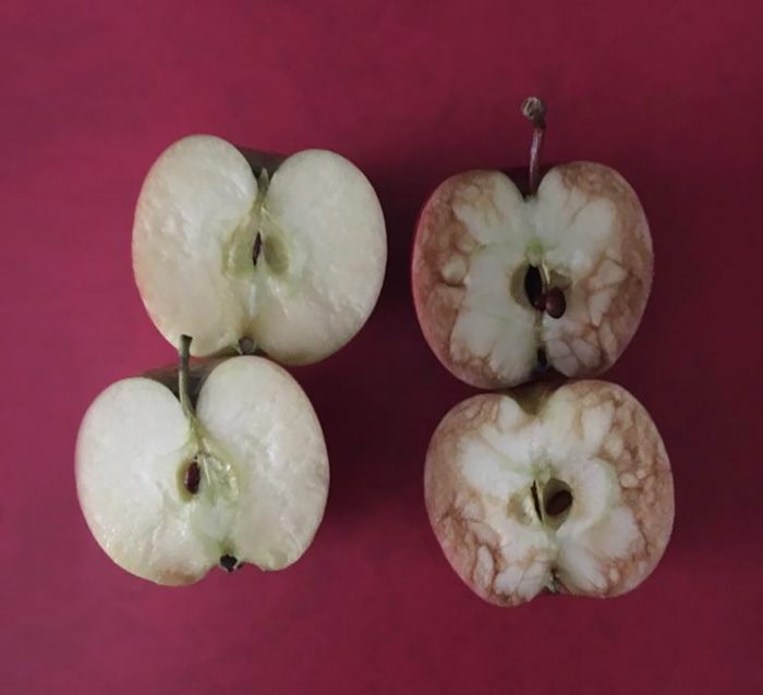 This Teacher Used Apples To Explain The Horrible Truth About Bullying