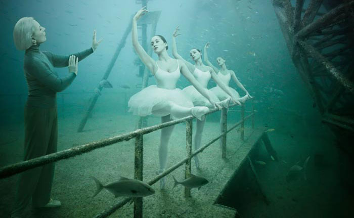 Unbelievable Shots Of A Photographic Exhibition Under The Sea