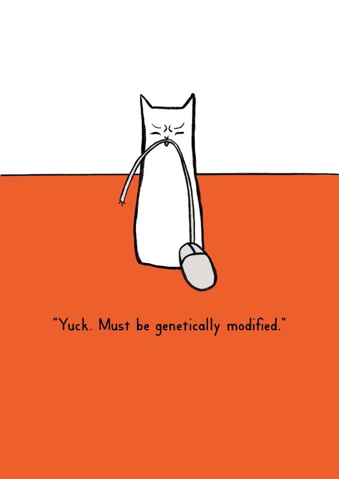 9 Birthday Cards Which Only Make Sense If You Have Cats