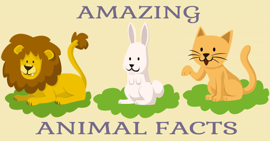 10 Unknown Animal Facts That May Surprise You