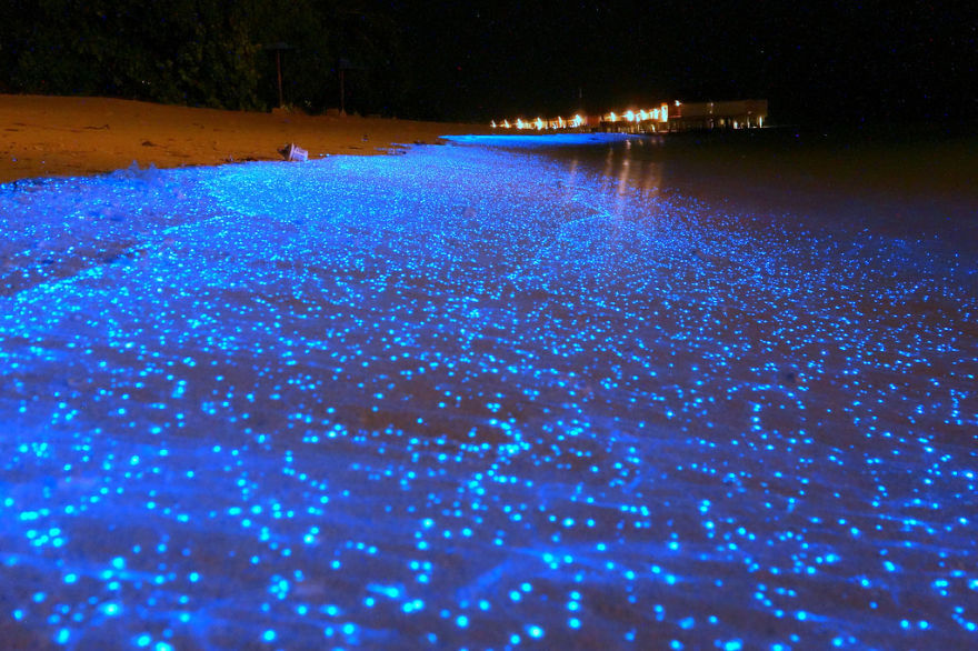 My Glow-In-The-Dark Beach Jewelry Brings You To Maldives