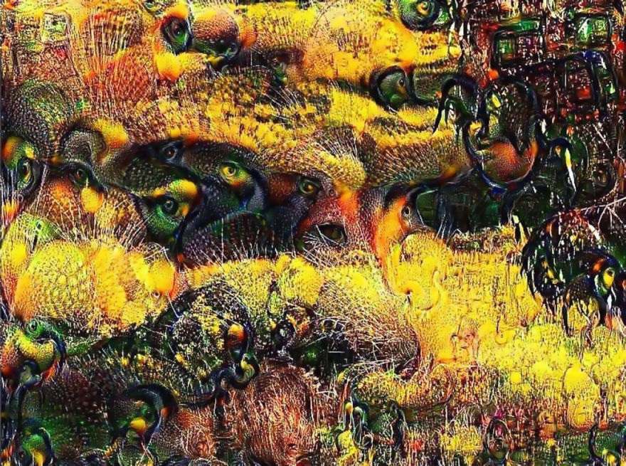 I Create Images Of Surreal Dreams With Google's Deep Dreams