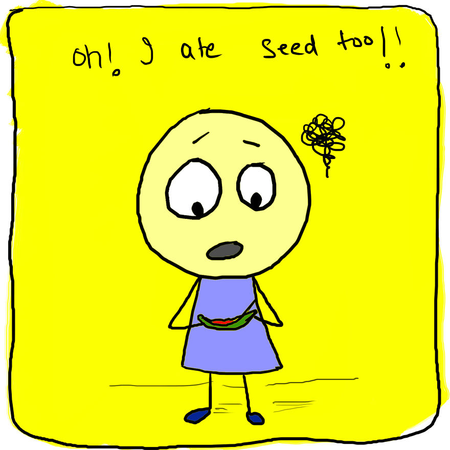 I Ate Watermelon Seed