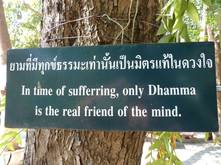 52 Inspiring Buddhist Sayings On Life 52 Inspiring Buddhist Sayings On Life