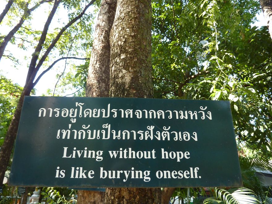 52 Inspiring Buddhist Sayings On Life 52 Inspiring Buddhist Sayings On Life