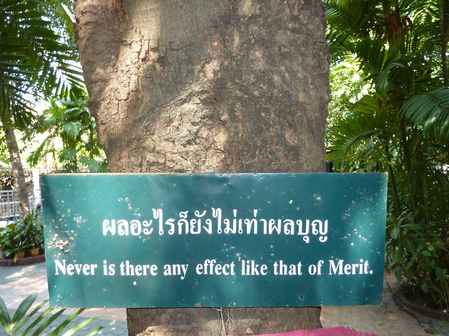 52 Inspiring Buddhist Sayings On Life 52 Inspiring Buddhist Sayings On Life