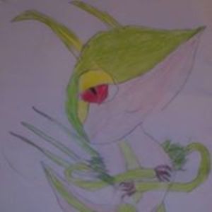 resource_wise avatar