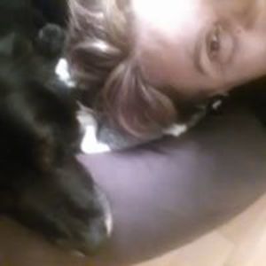 roy_cavallaro-parisi avatar