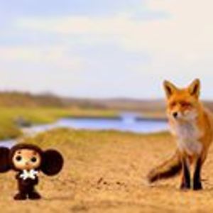 Fox Cheburashka