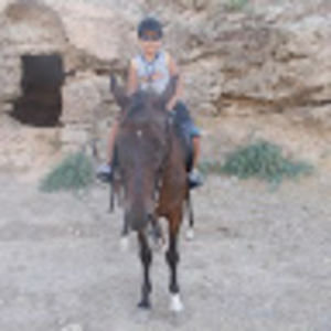 mehmetsofi avatar