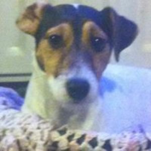 Billy_Shiner