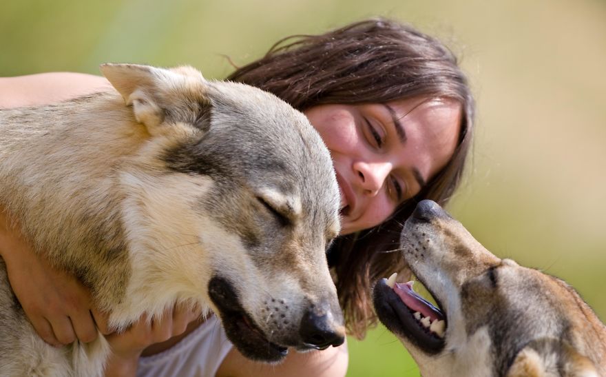 I Photographed A Family Living With Wolves