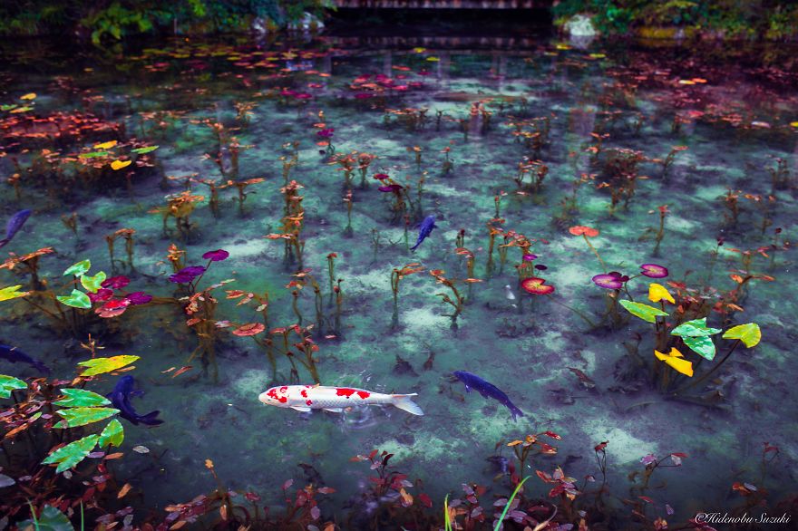 'Monet's Pond' In Japan That Looks Like Monet's Paintings