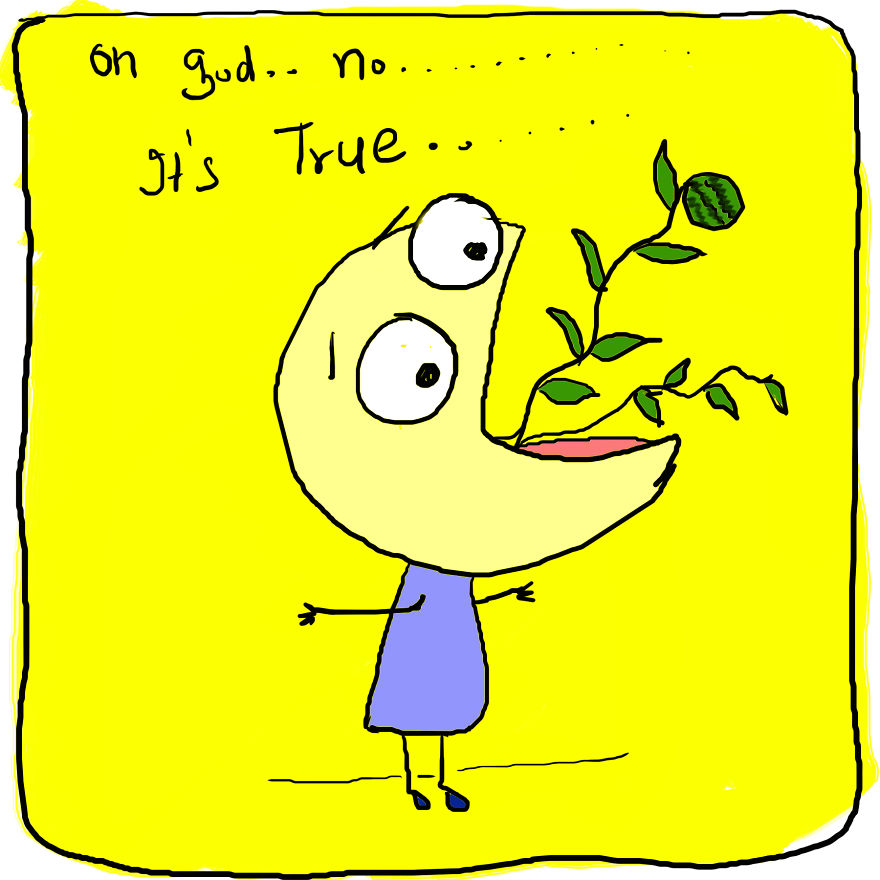 I Ate Watermelon Seed