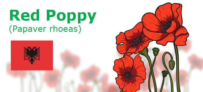 Digitally Hand-drawn European National Flowers Show You The Countries' Connection With Nature