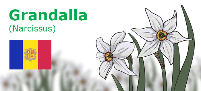 Digitally Hand-drawn European National Flowers Show You The Countries' Connection With Nature