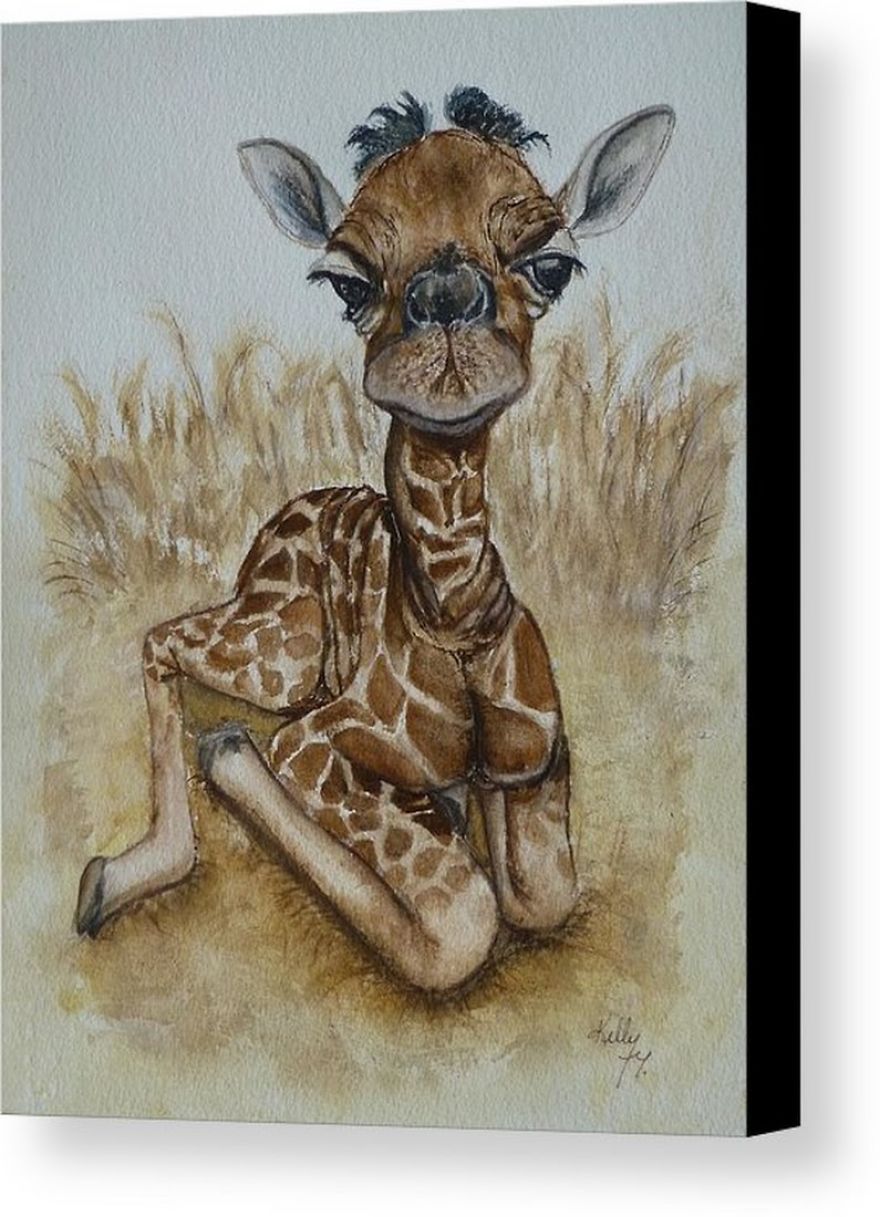New Born Baby Giraffe Canvas Prints