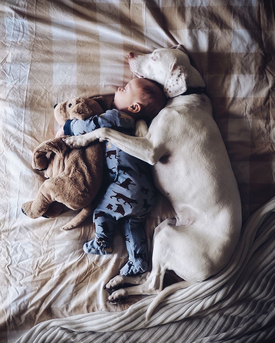 Our Rescue Puppy Is The Best Sleeping Buddy To Our 8-Month-Old Son