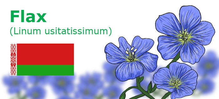 Digitally Hand-drawn European National Flowers Show You The Countries' Connection With Nature