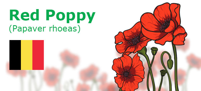 Digitally Hand-drawn European National Flowers Show You The Countries' Connection With Nature