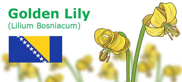 Digitally Hand-drawn European National Flowers Show You The Countries' Connection With Nature