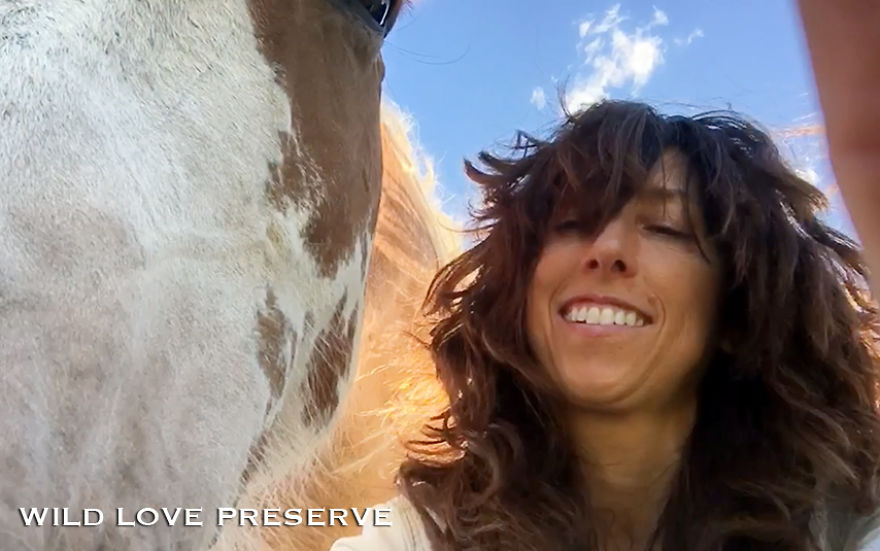 Cameras Turned On Me And Apache, My First Adopted Challis, Idaho Wild Horse