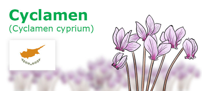 Digitally Hand-drawn European National Flowers Show You The Countries' Connection With Nature