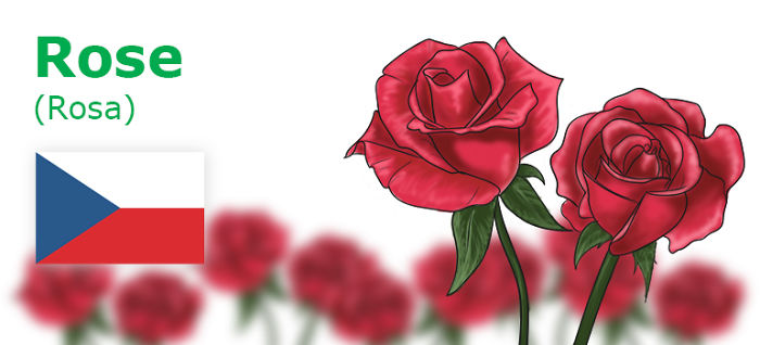 Digitally Hand-drawn European National Flowers Show You The Countries' Connection With Nature