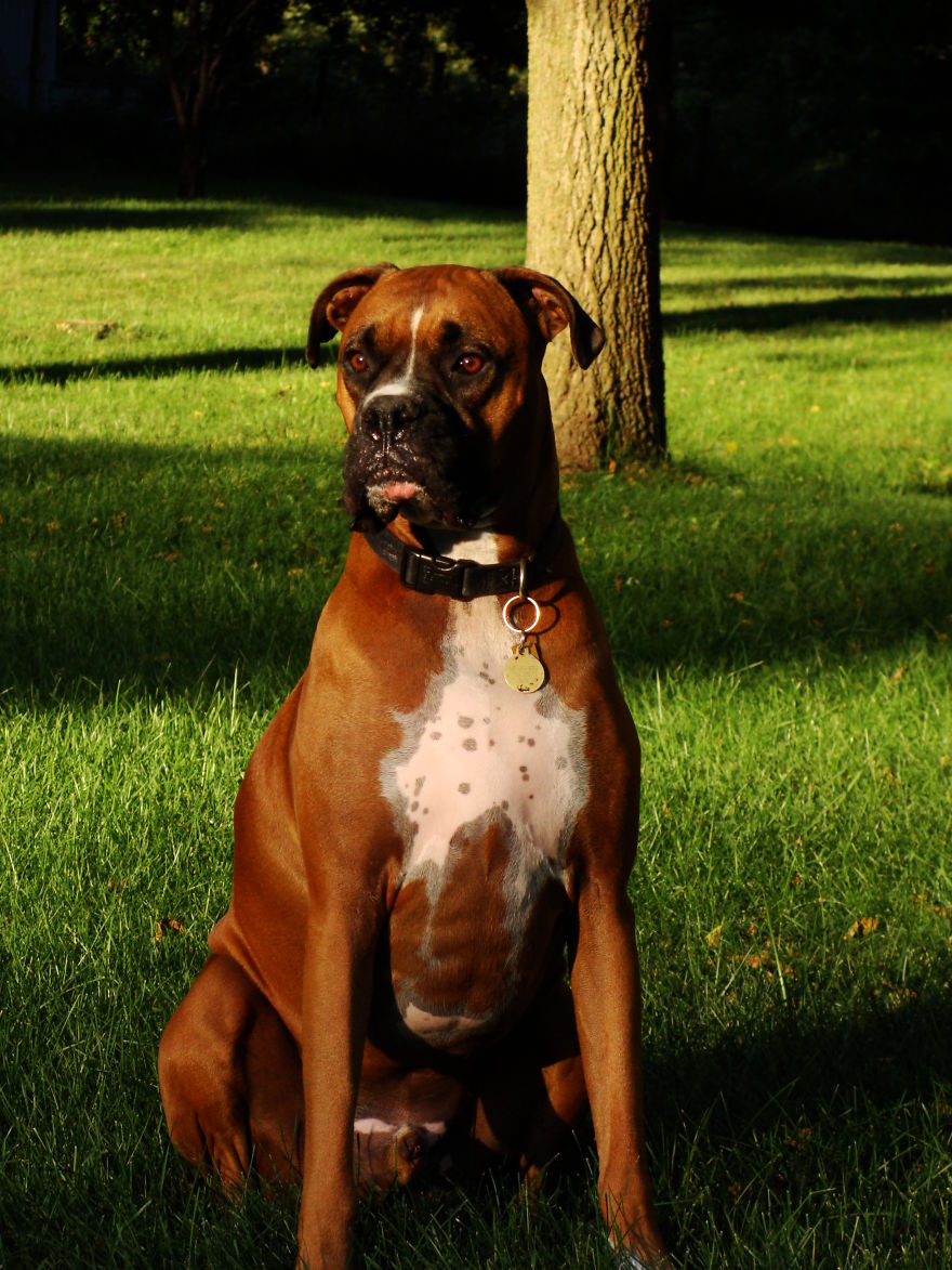 My Best Friend