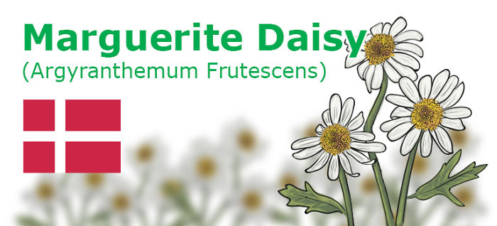 Digitally Hand-drawn European National Flowers Show You The Countries' Connection With Nature