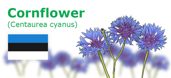 Digitally Hand-drawn European National Flowers Show You The Countries' Connection With Nature