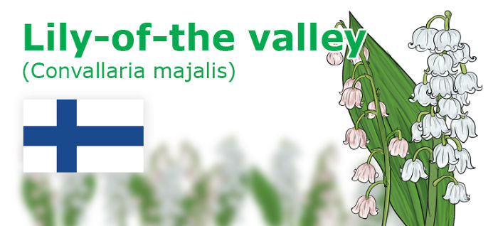 Digitally Hand-drawn European National Flowers Show You The Countries' Connection With Nature