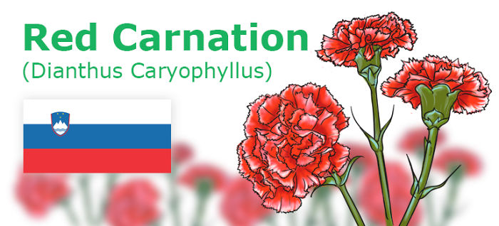 Digitally Hand-drawn European National Flowers Show You The Countries' Connection With Nature