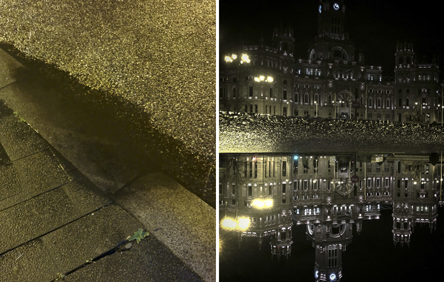 Hidden Parallel Worlds Of Everyday Puddles Captured With My Smartphone