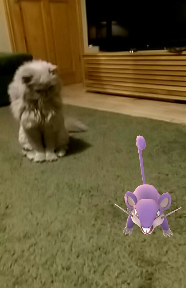 Monster And Rattata.