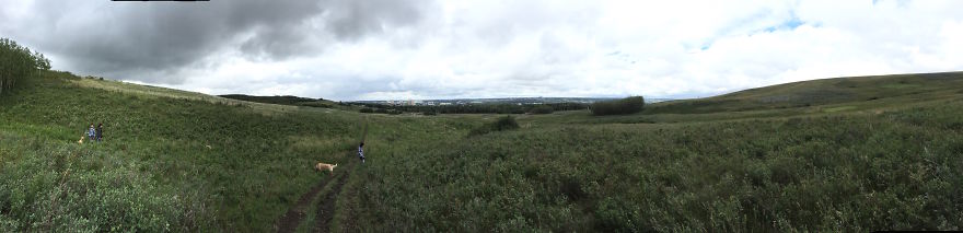 A Panoramic Turns These Pictures Into The Abnormal