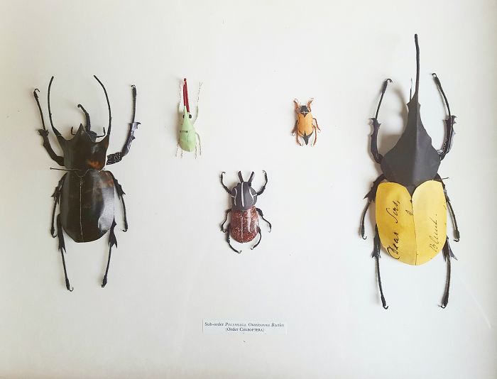 I Create Bugs, Butterflies, And Insects Using Recycled Paper, Wire And Thread