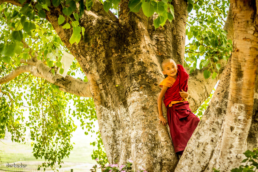 A Peek Into Buddhist Monasticism In Bhutan