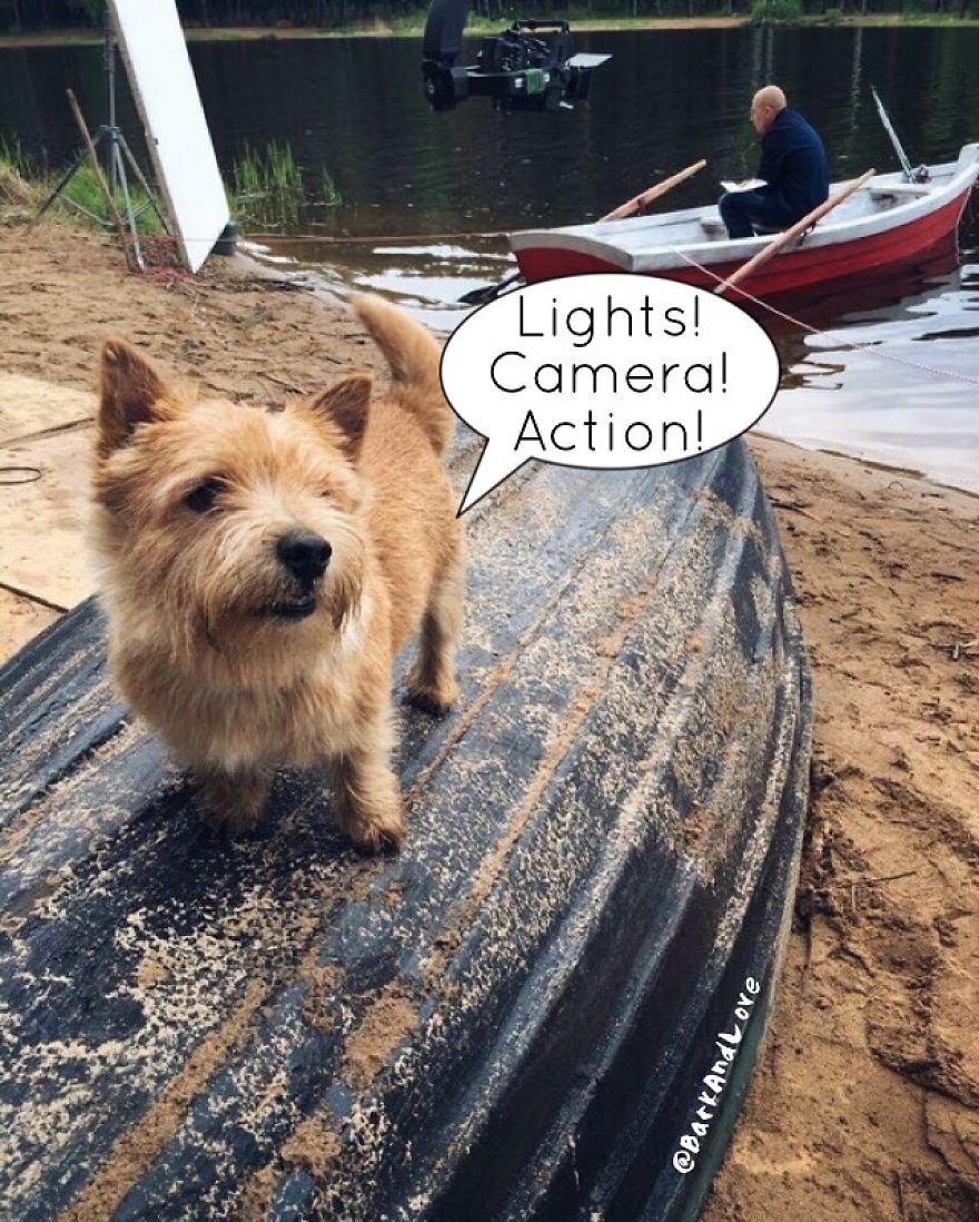 We Became Friends Because Of Our Puppies And Now We Make Comics About Their Friendship