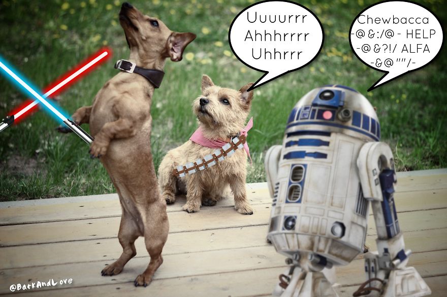 We Became Friends Because Of Our Puppies And Now We Make Comics About Their Friendship