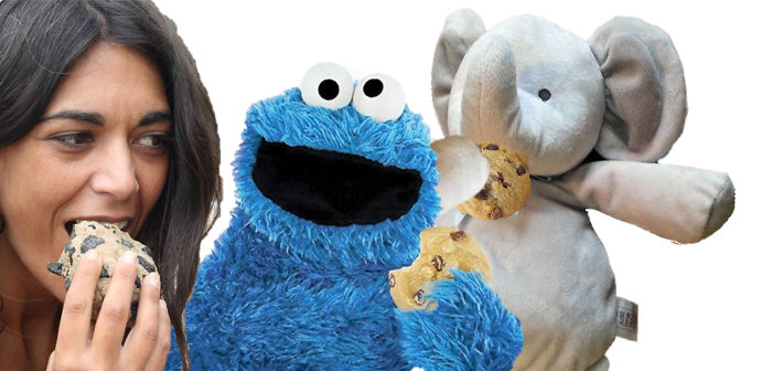 With Cookie Monster