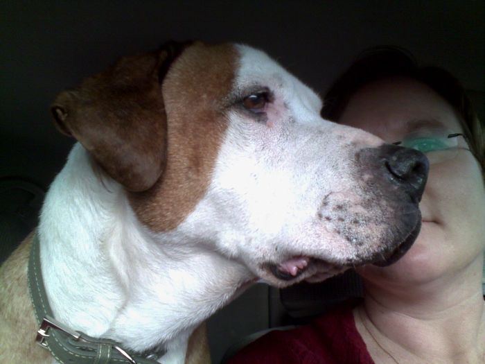 He Wanted To Ride Home On My Lap...while I Drove. (don't Worry, He Didn't.)