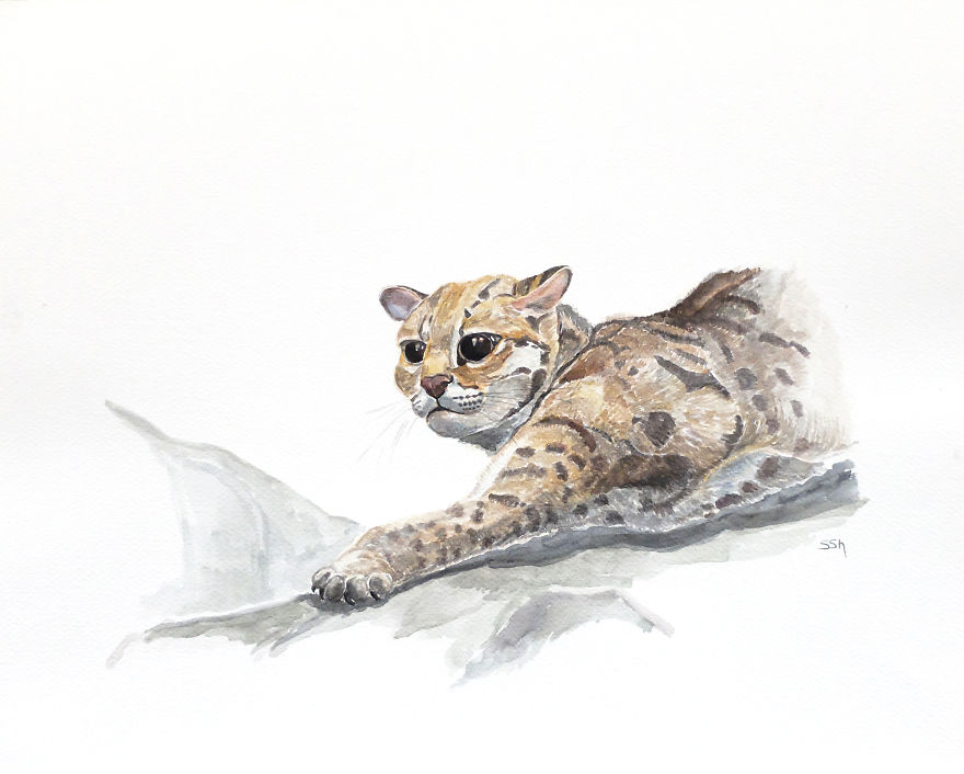 My Watercolour Art Is My Way To Contribute To Wildlife Conservation