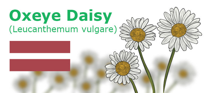 Digitally Hand-drawn European National Flowers Show You The Countries' Connection With Nature