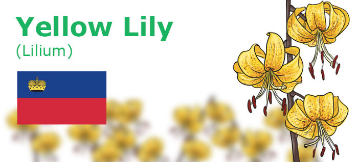 Digitally Hand-drawn European National Flowers Show You The Countries' Connection With Nature