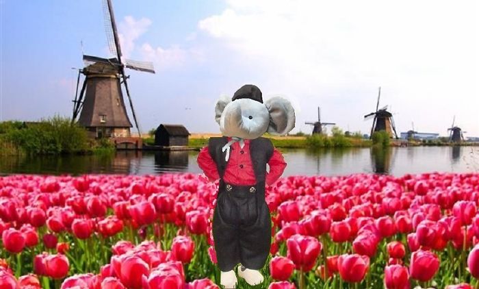 Exploring Holland