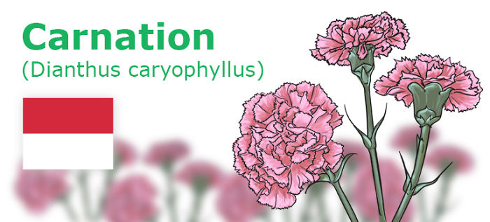 Digitally Hand-drawn European National Flowers Show You The Countries' Connection With Nature