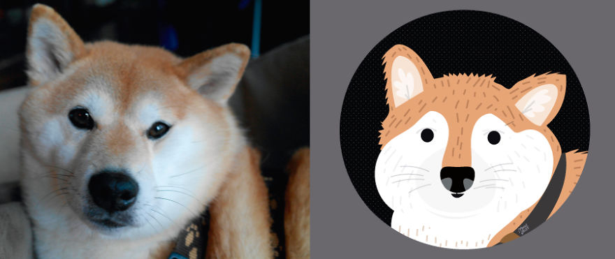 I Draw Cats And Dogs From Photos