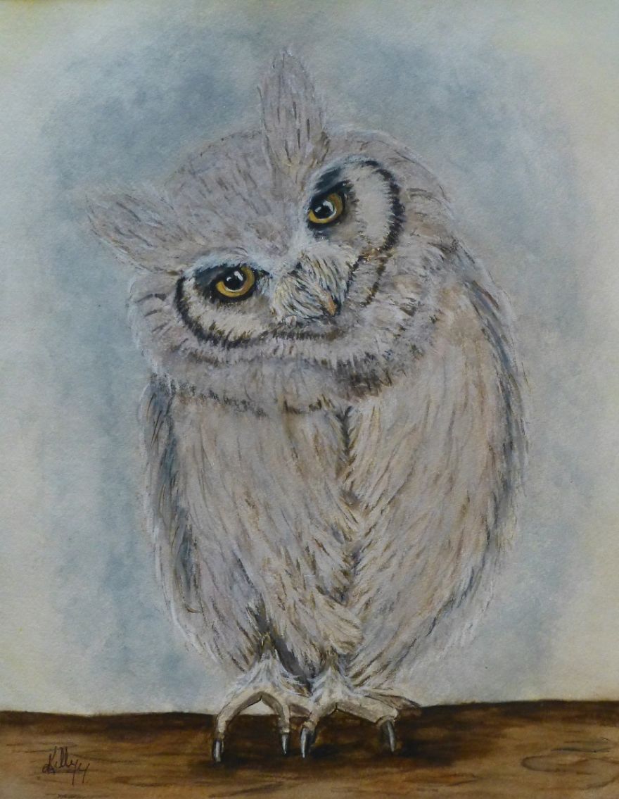 I Painted An Original Watercolour Painting Of A Scops Owl